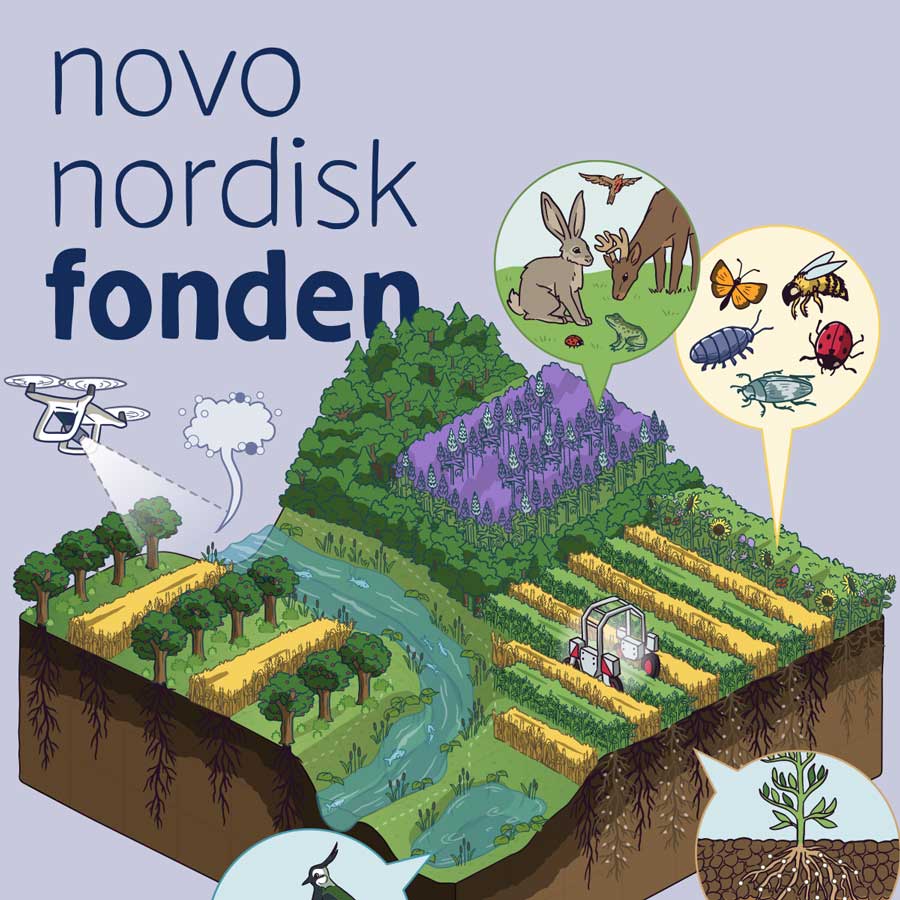 Grafik om landbrug for Novo Nordisk Fonden, 2023