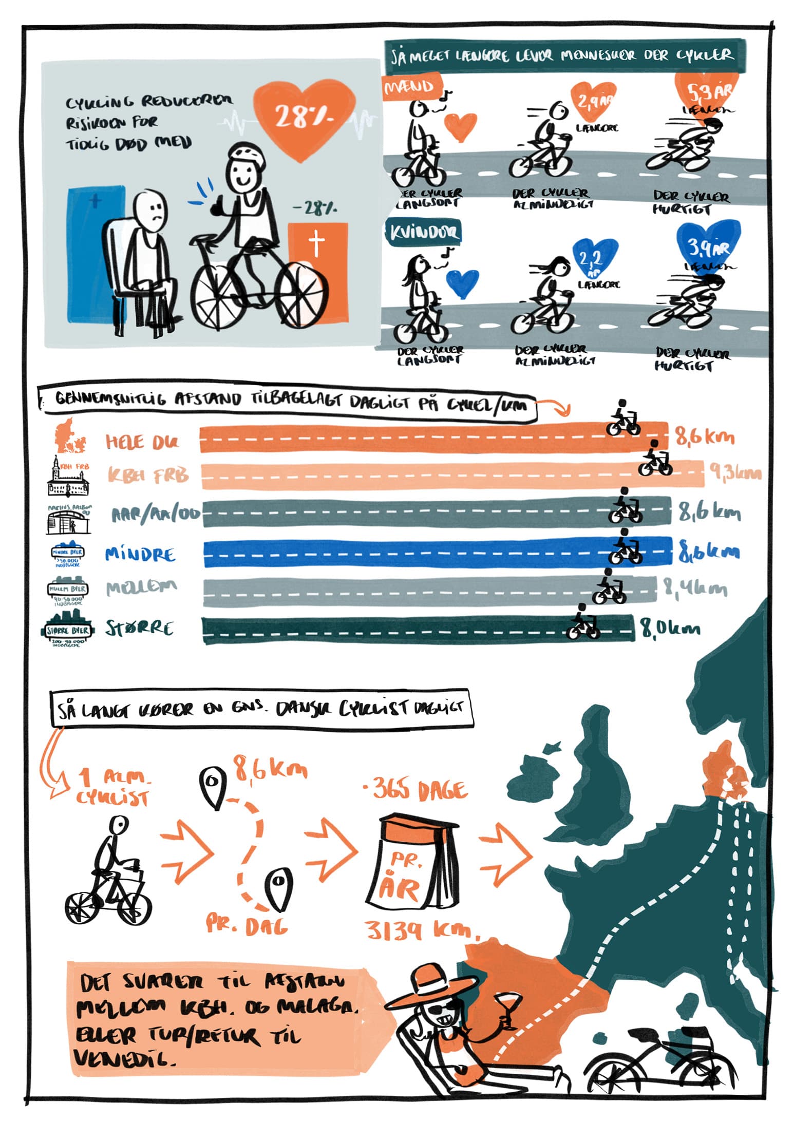 Skitse til faktaark om cyklisme for Vejdirektoratet