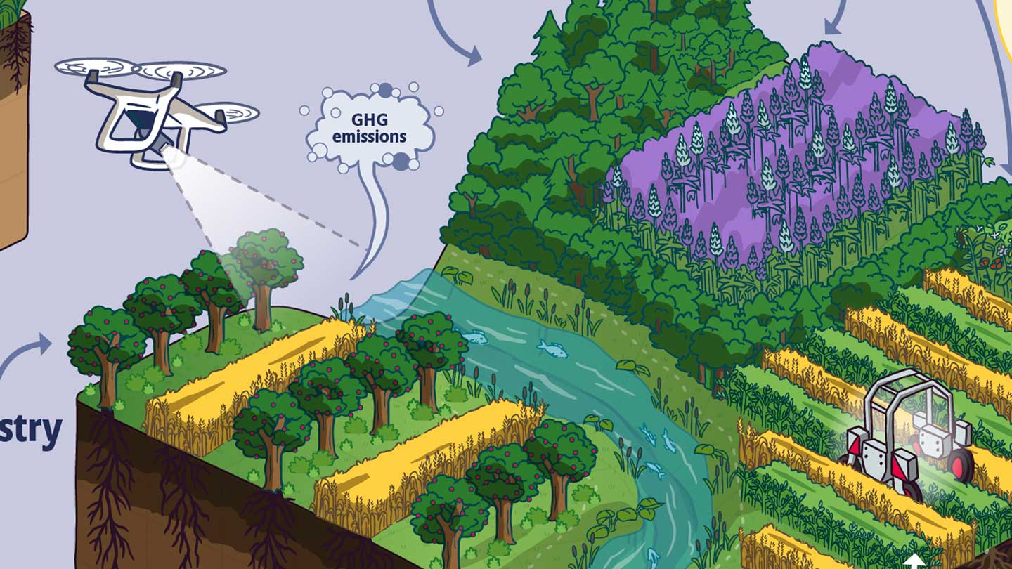 Uddrag fra grafik til Novo Nordisk Fonden om bæredygtigt landbrug